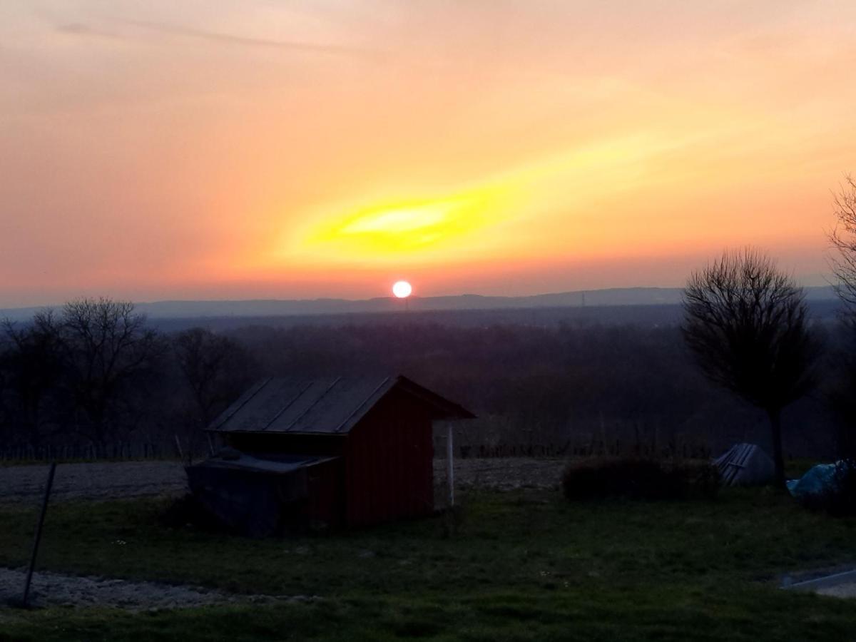 Gaestehaus Hoeferlin Bad Bellingen Zewnętrze zdjęcie